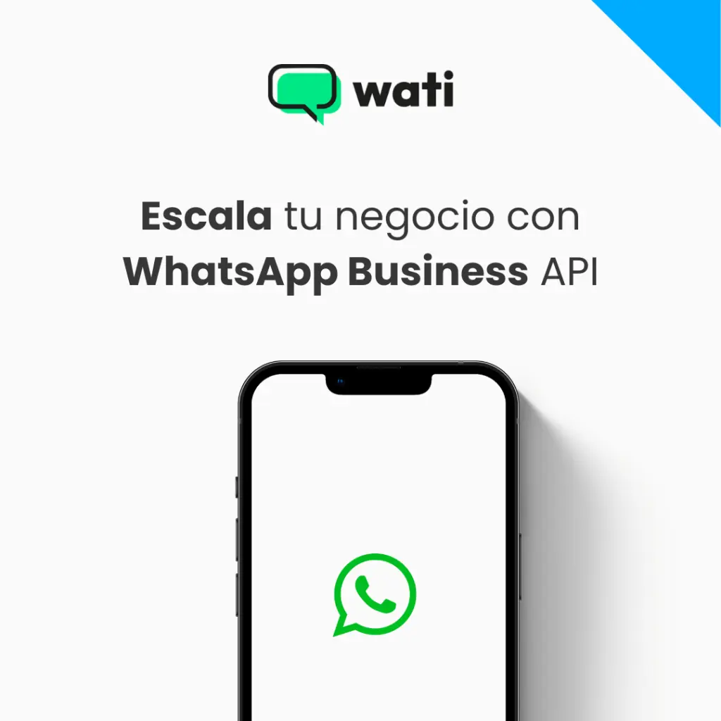 10.webp