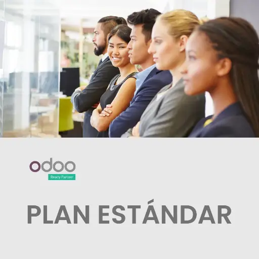 [ODOO] Odoo - Standard | For Small Company looking to adapt their operations to Odoo
